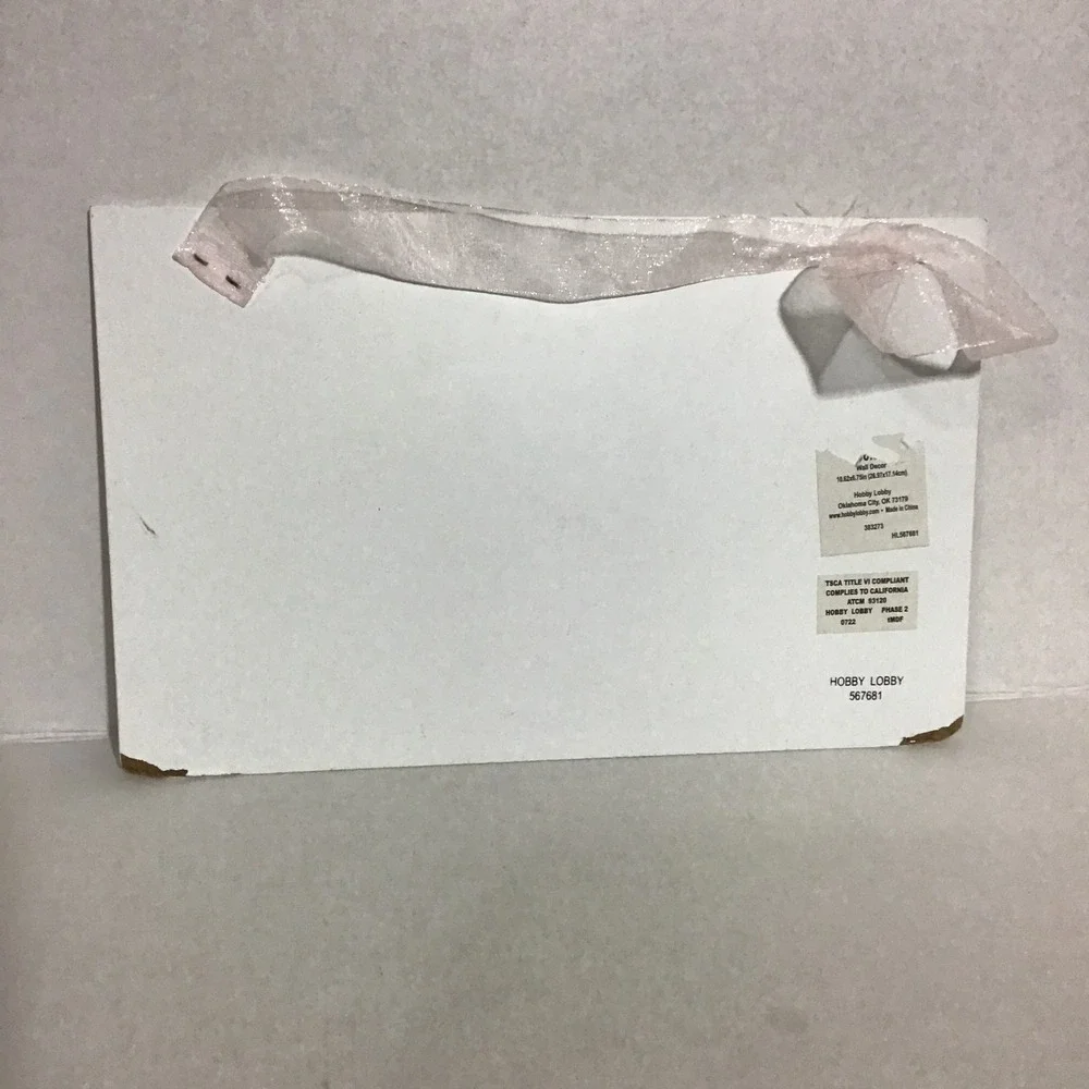 Hobby Lobby Girls Only No Boys Allowed Pink‎ Floral Wall Plaque Sign